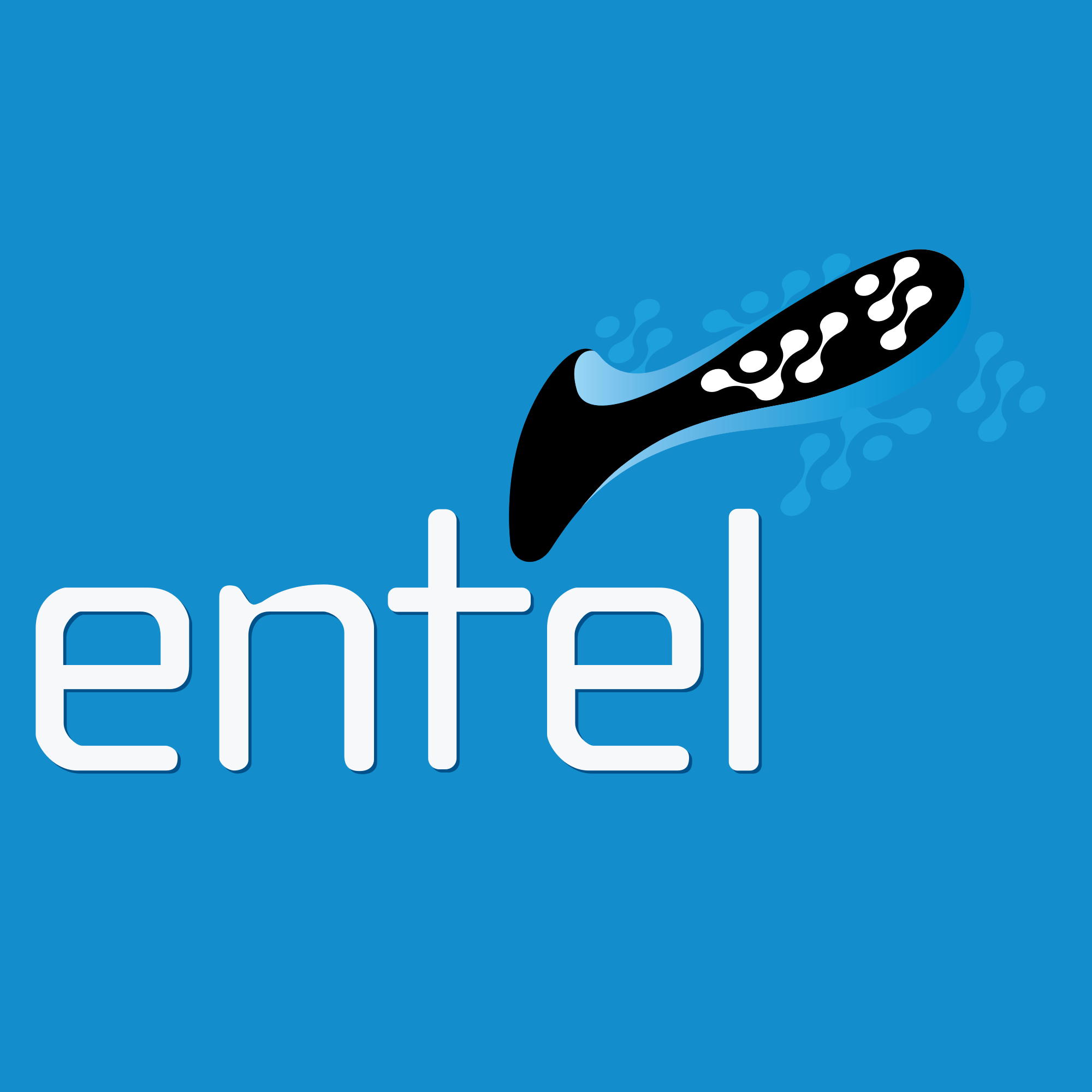 Entel话费流量充值入口