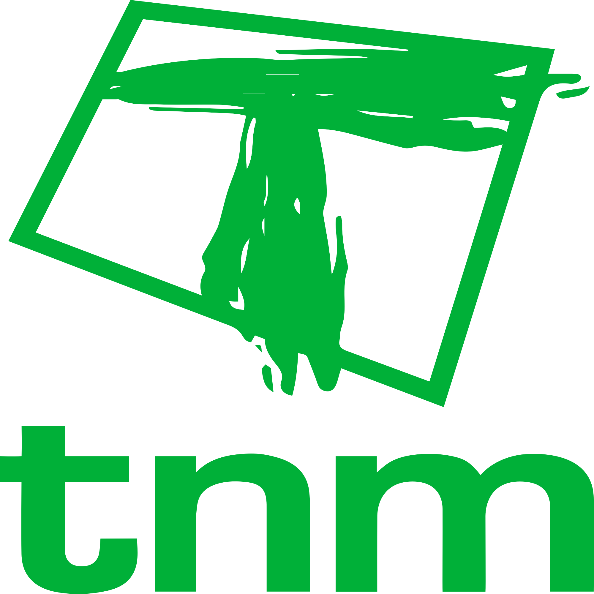 TNM话费流量充值入口