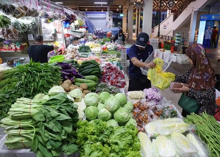 马来西亚新闻：暴雨肆虐，菜园受灾严重，蔬菜价格飙升
