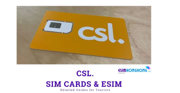 1774600335163136.png image.png