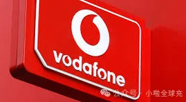人在国内一年不缴纳Vodafone话费，号码会自动注销吗？