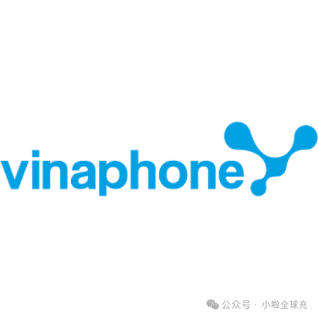 跨境干货：越南号码休眠销户判定 + 人民币远程充值完整方案
